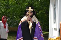 DSC_1294DSC_1294 DSC_1294DSC_1294
