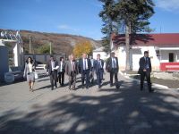IMG_3491 IMG_3491